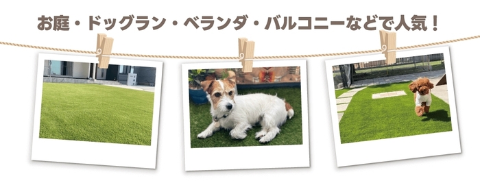 人工芝の使用例