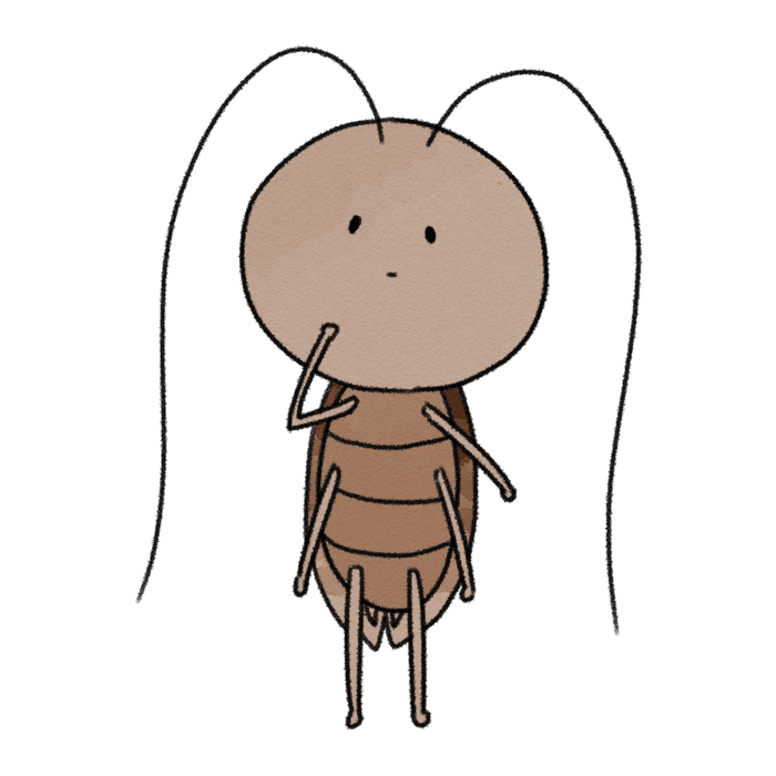 ゆるふわゴキブリ1