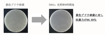 陶板壁材「スーパートライ Ｗａｌｌ」 抗菌性光触媒シリーズ発売のお知らせ