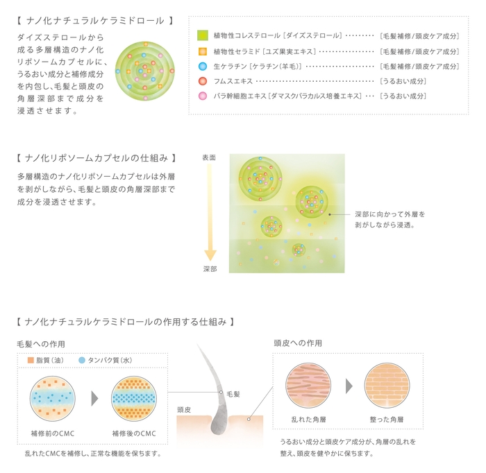 コタクチュール シャンプー・トリートメント 共通配合成分