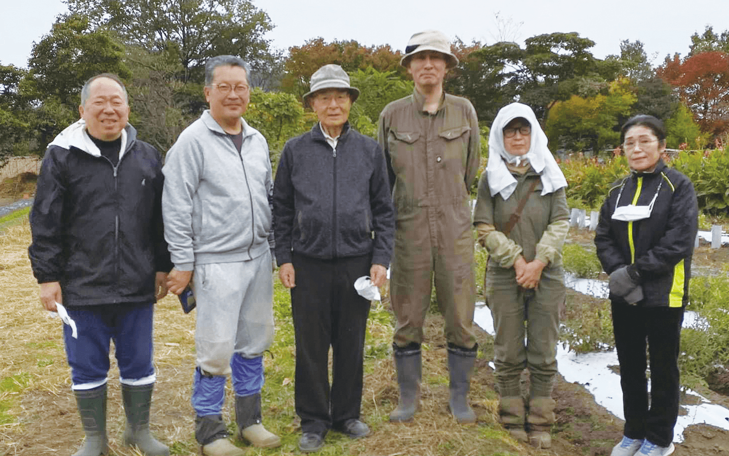 栽培方法や生産者の顔がわかる100%国産の紫根※1を使用(1)