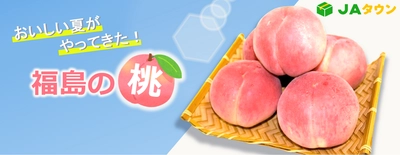 美味しい夏をお届け！旬を迎える福島の桃が続々登場！ 「ＪＡタウン」のショップ「ＪＡ全農福島」で 人気商品の「桃」を販売中