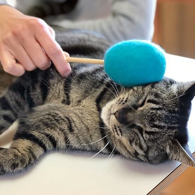 ネコトントン　1,980円(税込)