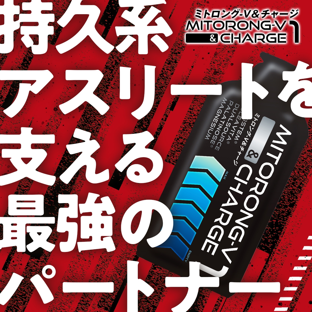 ミトロング-V&チャージ(2)