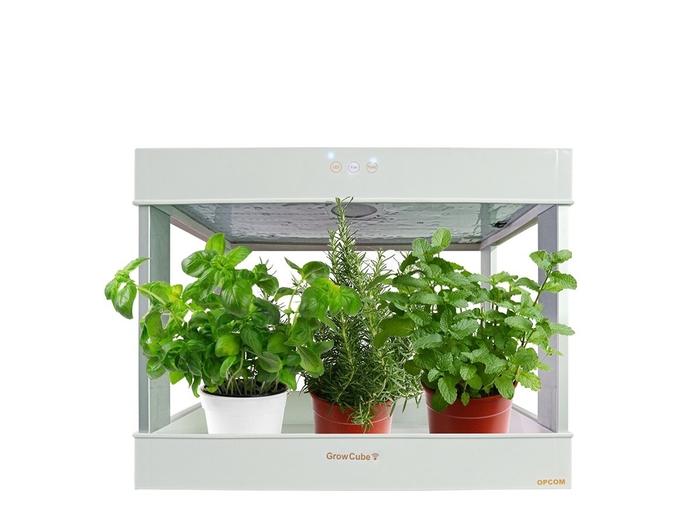 グローキューブ