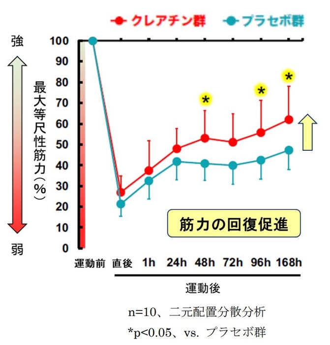 図3 運動後の筋力低下に対する クレアチンの効果