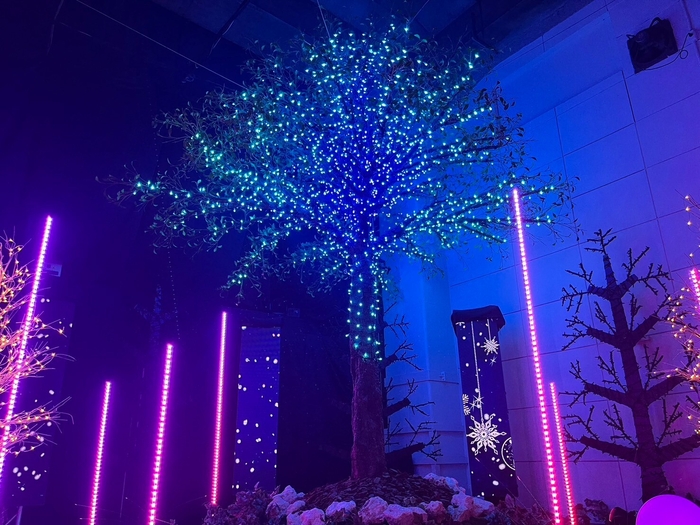 最新制御を生かしたイルミネーションショー(昨年の様子)