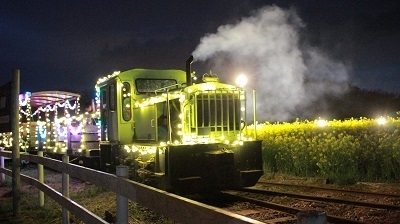 夜桜限定イベント「光るトロッコ」