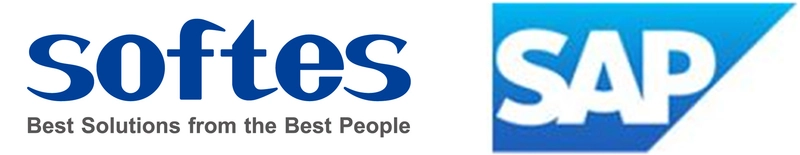 「眼」の総合専門メーカーのシードが、RISE with SAPへ移行し、　 グローバル成長を支える高可用性基盤を構築