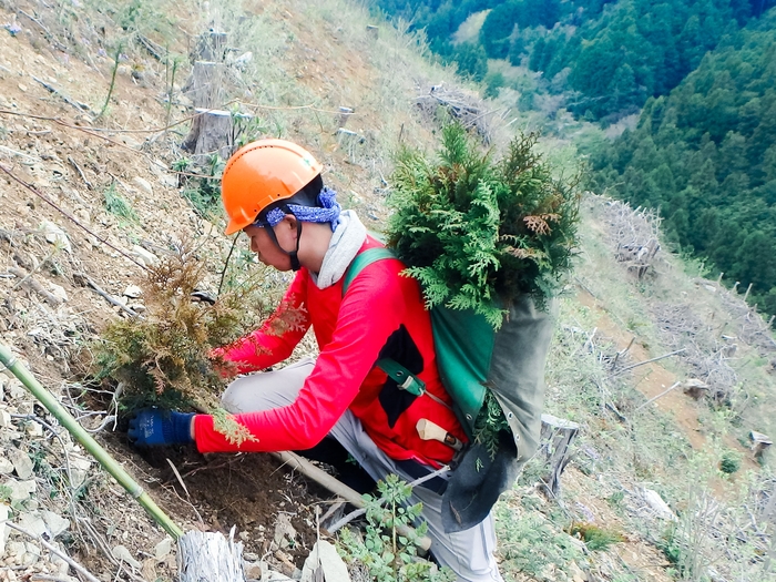 植栽の時期は春と秋。1本1本植えていきます