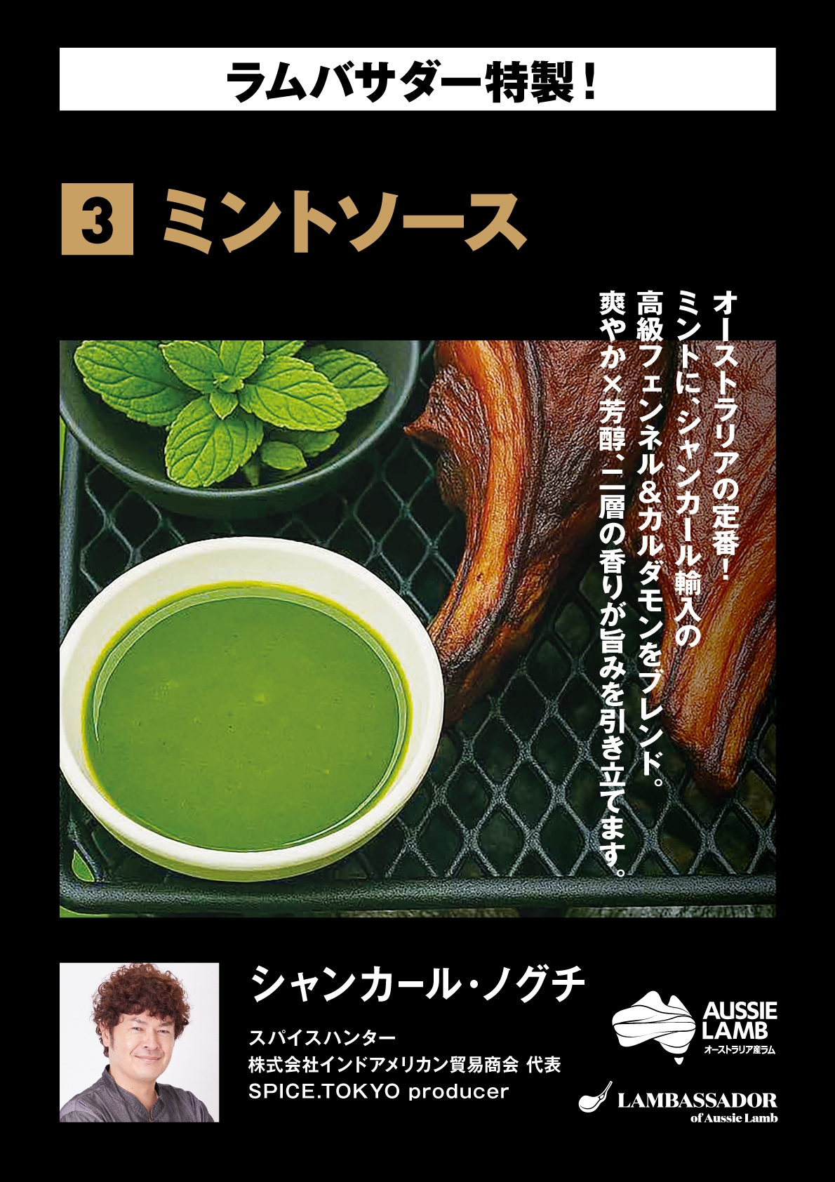 シャンカール・ノグチ ミントソース