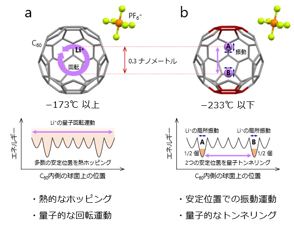 図2　C60ケージに閉じ込めた1個のリチウムイオンの運動の温度変化　a：100K（-173℃）以上の高温、b：40K（-233℃）以下の低温