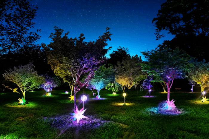 ミライの桜ライトアップ(イメージ)