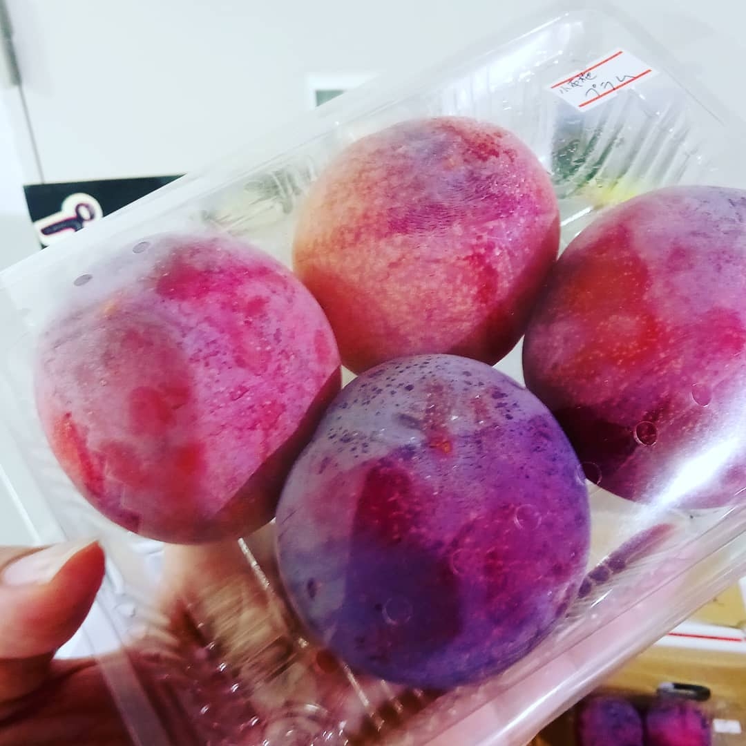 プラム(貴陽)