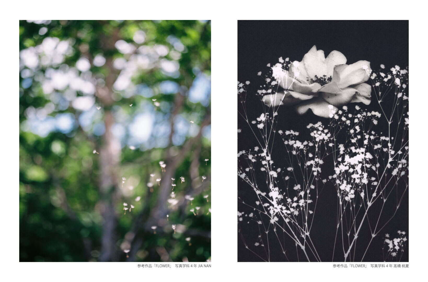 共同写真展参考作品「FLOWER」左:写真学科4年 JIA NAN、右:写真学科4年 髙橋 桃夏