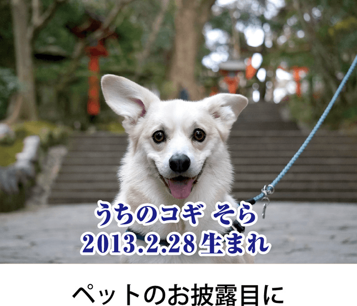 作例4