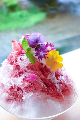 夏のご褒美スイーツ！スフレチーズケーキ専門店「花」、 国産すももを使った夏季限定メニューを7月14日より販売開始