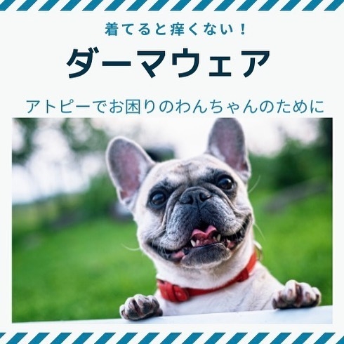 DERMA WEAR(ダーマウェア)