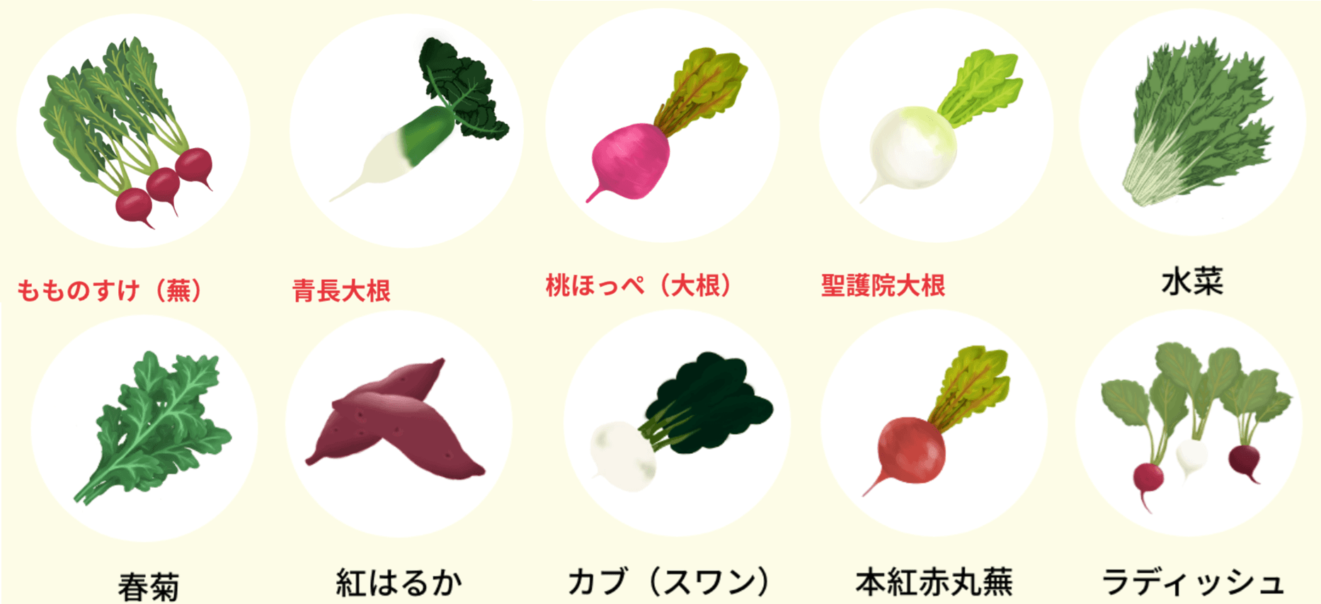 主な販売品目
