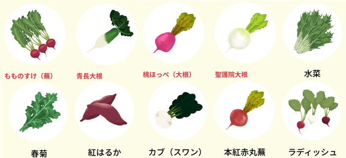 主な販売品目