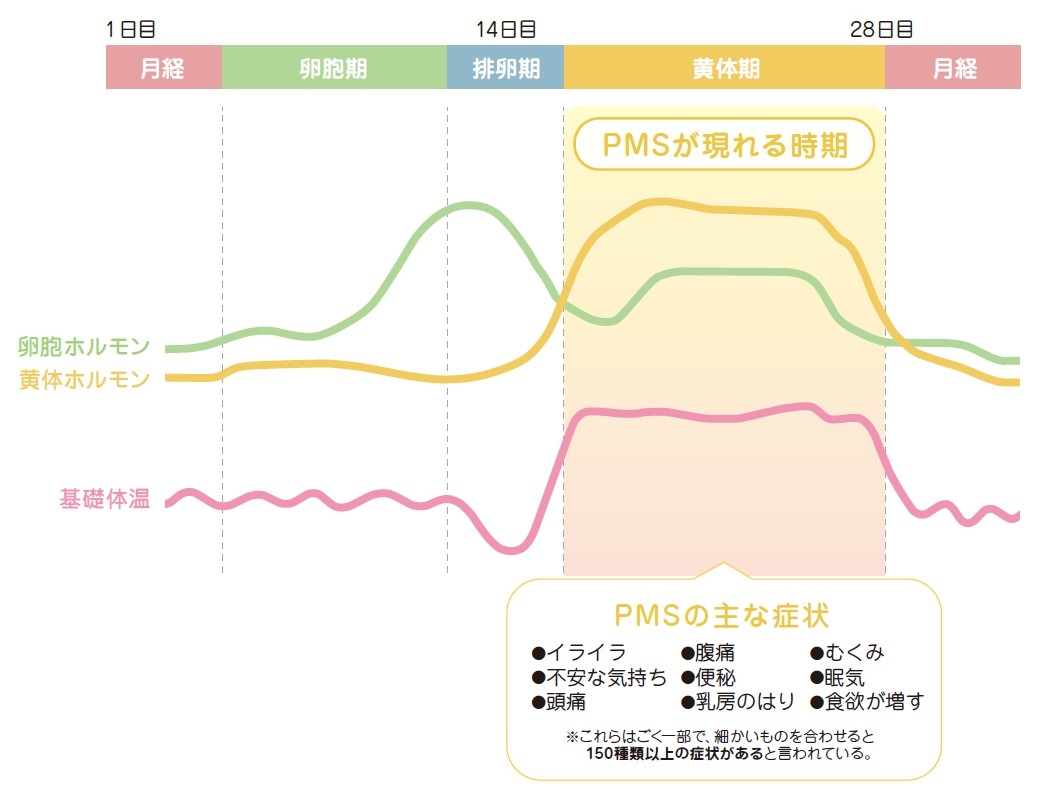 図1:PMSが現れる時期と主な症状