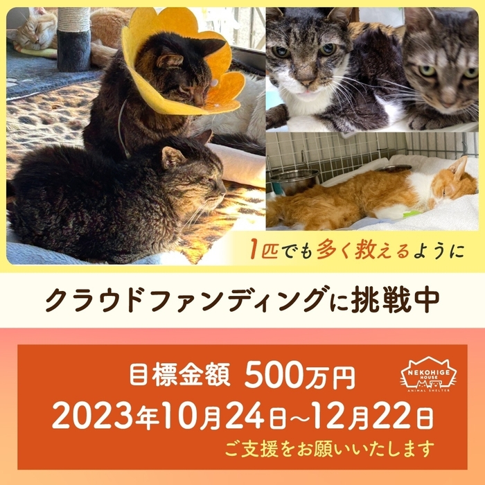 1匹でも多く救いたい!