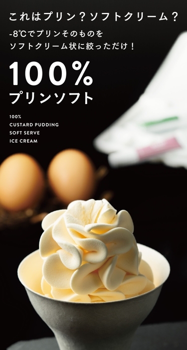 100%プリンソフト2