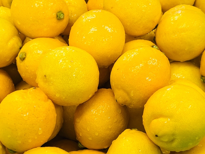 瀬戸田のエコレモン