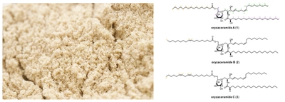 米糠の副産物から3種の新規化合物を発見し、その化学構造を解明　このうち1種が皮膚のバリア機能を高めることを明らかに