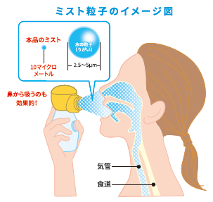 ミスト粒子のイメージ