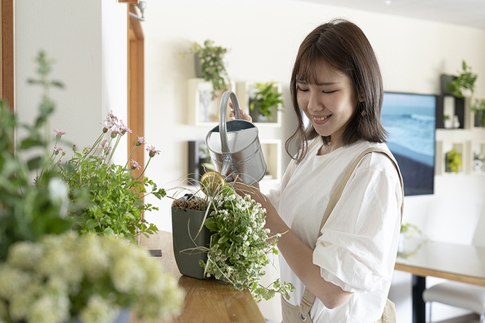 エコフラポットのあるくらし1