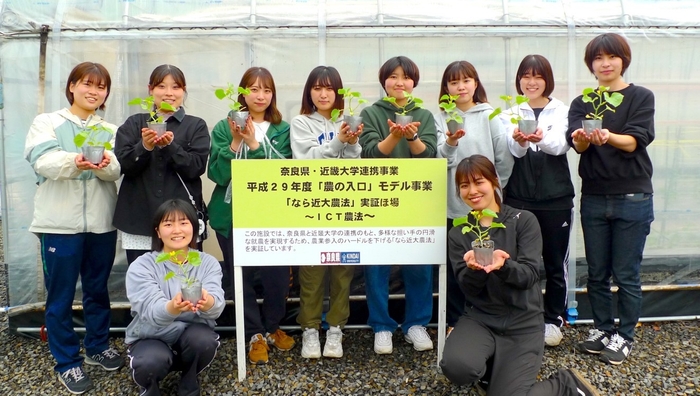 「近大ICTメロン」を栽培した農学部3年生