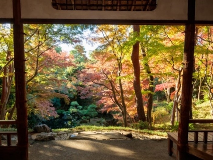 過去の紅葉の様子(紅葉亭から)
