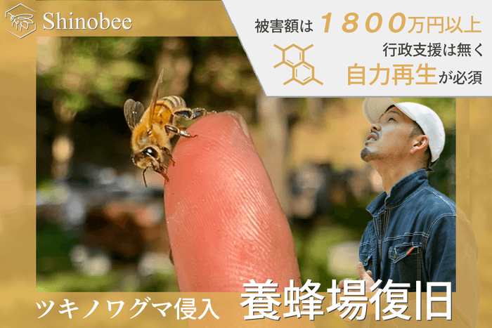 クラウドファンディングバナー