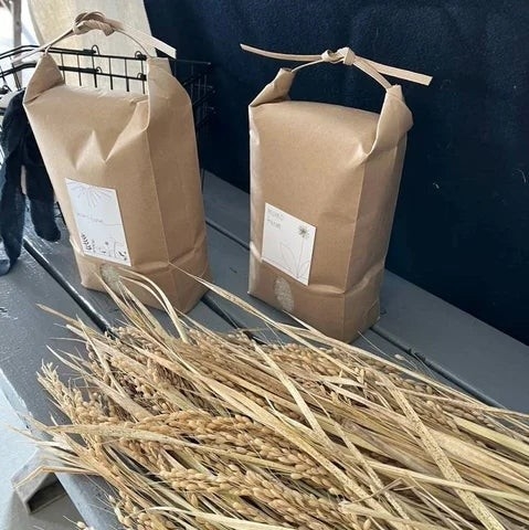 画像はイメージです