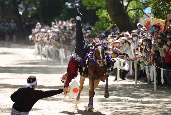 国土交通大臣賞「藤駈ける」 川崎 成人