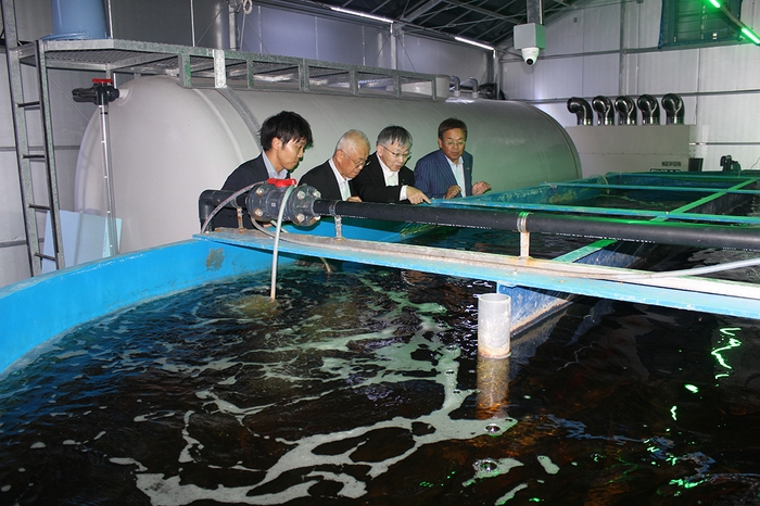 養殖場の22トン水槽を見学する平野学長(右から2人目)、山本准教授(右端)ら