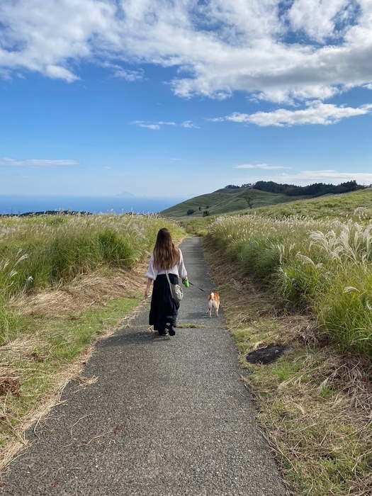 【東伊豆の祭り・イベント部門】『愛犬と稲取細野高原』/かず様