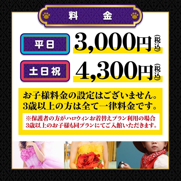 料金