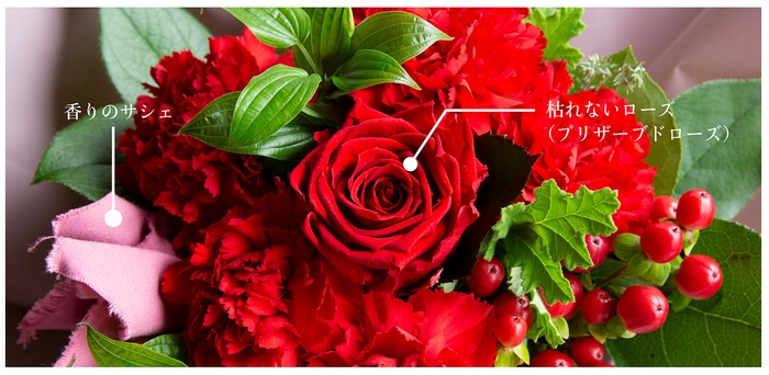 着せかえローズ解説