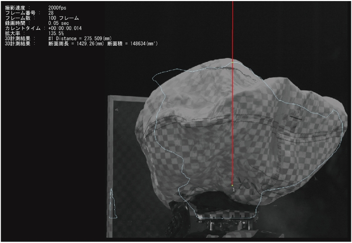エアバッグ試験の2D/3D重ね合わせモデル