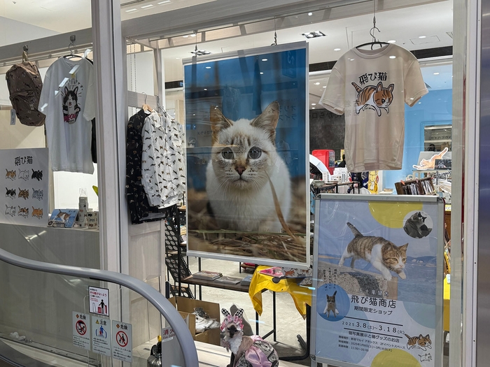 飛び猫商店　入口　