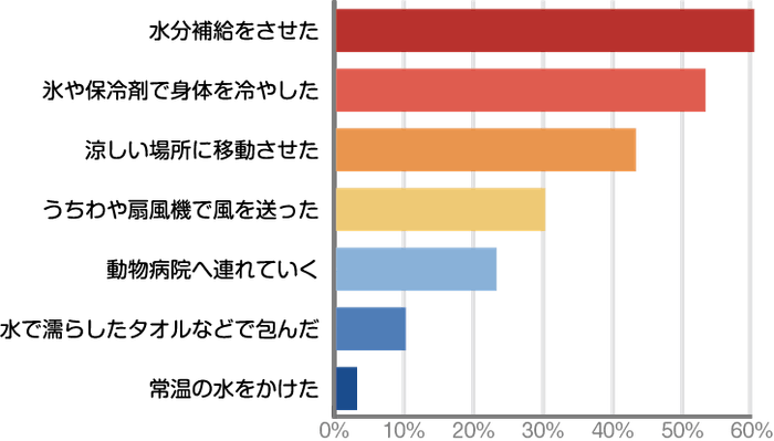 【Q６】ペットが熱中症になったと感じた際、どのような対応を行いましたか？［複数回答可］（ｎ＝30）