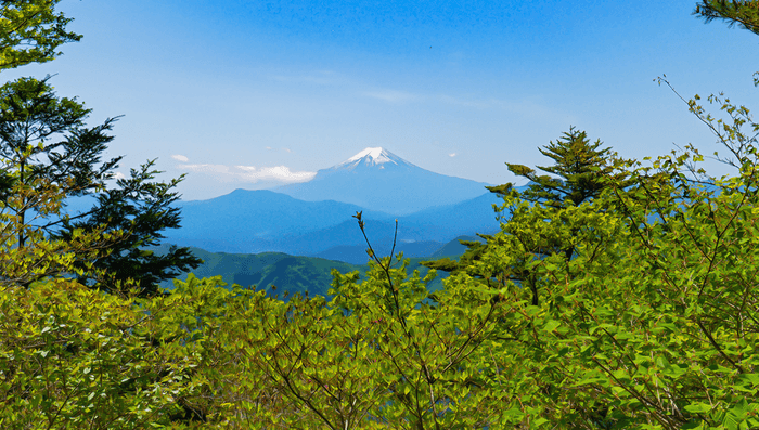 『三頭山』山頂から眺める冨士山