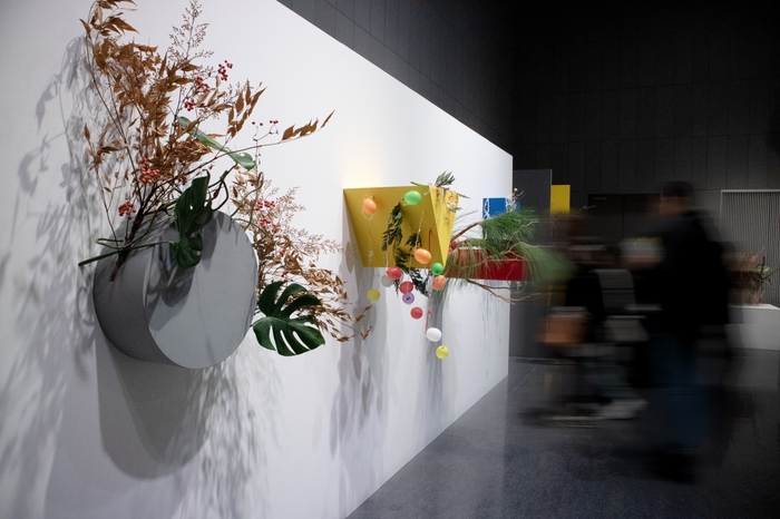 突起を取り掛かりに(2024)