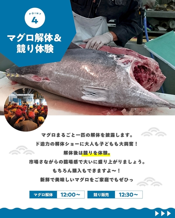 マグロ解体ショー＆競り体験
