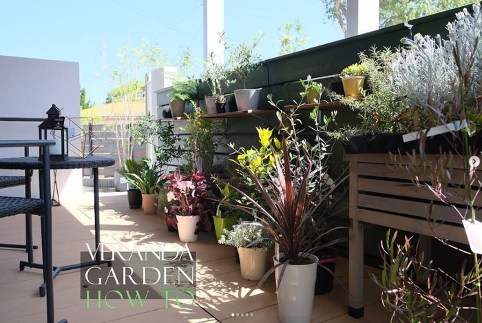 ウッドフェンス&ベランダプランツ