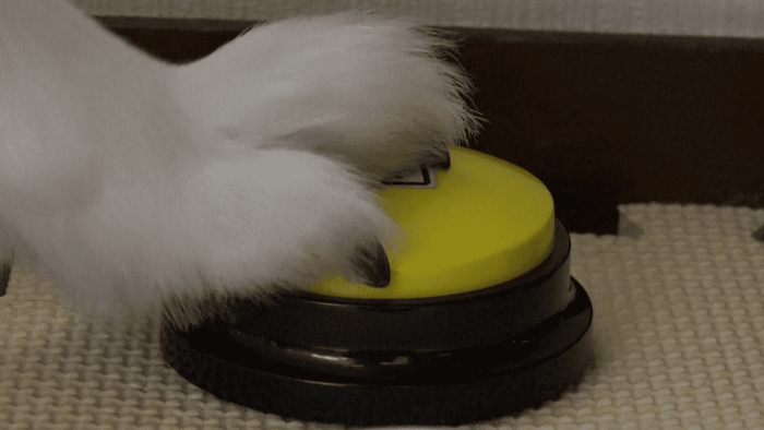 ワンちゃんと会話するためのボタン!?