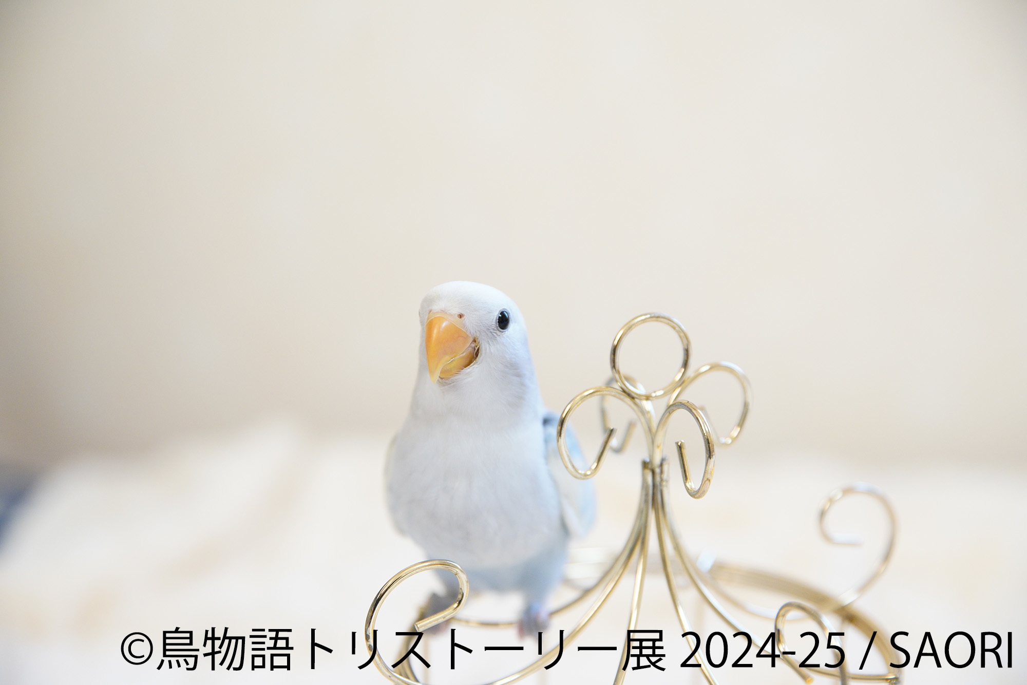 展示作品6