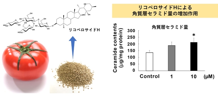 図1. 本研究の概略図